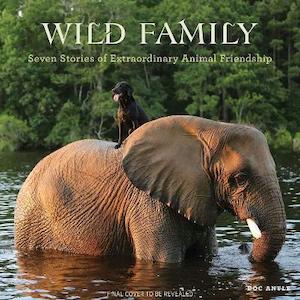 Performing Arts: Wild Family: Seven Stories of Extraordinary Animal Friendship