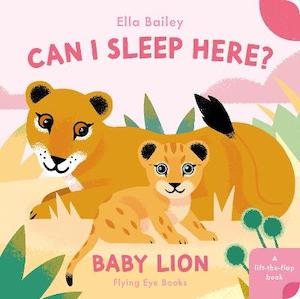 Board Books: Can I Sleep Here? Baby Lion