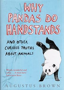 Natural History: Why Pandas Do Handstands...