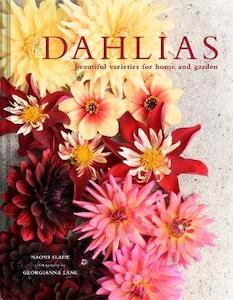Home Garden Diy: Dahlias: Beautiful varieties for home and garden