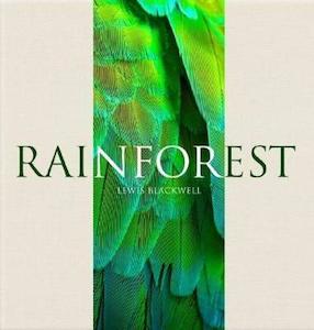 The Environment: Rainforest