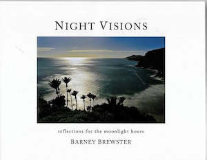 Nz Art: Night Visions by Barney Brewster