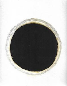 Nz Art: Now Showing: A History Of The Govett-Brewster Art Gallery by Christina Barton and Jonathan Bywater and Wystan Curnow and Helen Telford