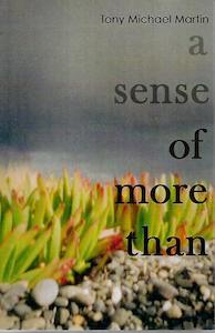 Religion: A Sense Of More Than by J. A. M. Martin