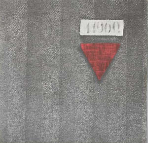 Jewish: The Dachau Concentration Camp, 1933 To 1945: Text And Photo Documents From The Exhibition, With Cd by Barbara Distel and Ruth Jakusch