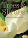 Botanica's Trees And Shrubs by Geoff Bryant and Valda Paddison and Random H&hellip;