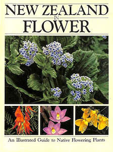 Gardening: New Zealand in Flower: An Illustrated Guide To Native Flowering Plants by Stephen Barnett and Alison Evans
