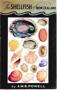 Nz Ecology: The Shellfish of New Zealand by A. W. B. Powell