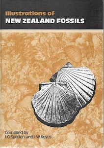 Nz Ecology: Illustrations of New Zealand fossils by I.W. Keyes and I. G. Speden
