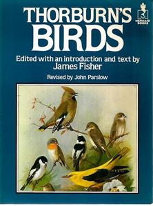 Thorburn's Birds by Archibald Thorburn