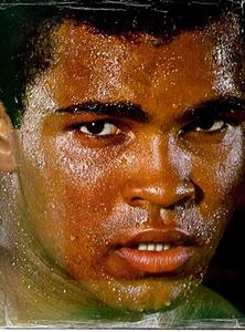 Sport: Muhammad Ali: A Portrait In Words And Photographs by Wilfrid Sheed