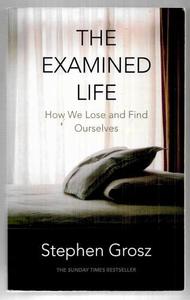 Life Cycle: The Examined Life: How We Lose And Find Ourselves by Stephen Grosz