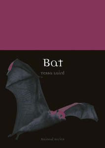 Animals: Bat (Animal Series) by Tessa Laird