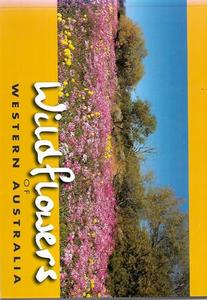 Gardening: Wildflowers Of Western Australia by Simon Nevill