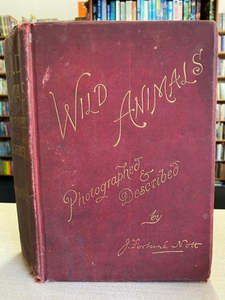 Animals: Wild Animals Photographed And Described by J. Fortuné NOTT