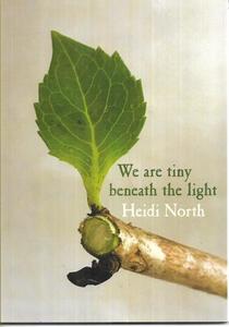 Poetry: We Are Tiny Beneath The Light by Heidi North