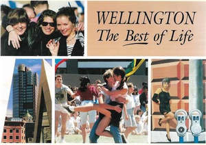 Wellington, The Best Of Life by David Elworthy