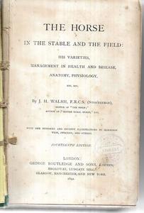 The Horse In The Stable And The Field by J. H. Walsh