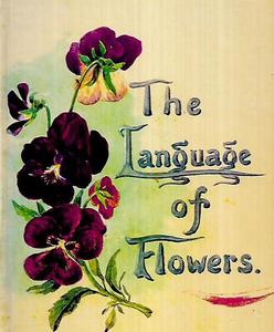 The Language Of Flowers by Margaret Pickston