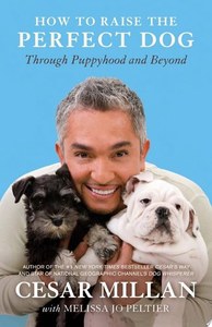 Animals: How To Raise The Perfect Dog Through Puppyhood And Beyond by Cesar Millan
