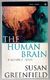 The Human Brain: A Guided Tour by Susan Greenfield
