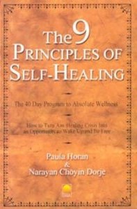The 9 Principles Of Self-Healing The 40 Day Program To Absolute Wellness : How T&hellip;