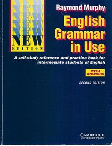English Grammar In Use: A Self-Study Reference And Practice Book For Intermediat&hellip;