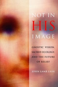 Not In His Image: Gnostic Vision, Sacred Ecology, And The Future Of Belief by John Lamb Lash