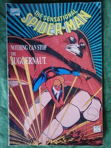 1989 Spider-Man / Juggernaut – Books and Toys