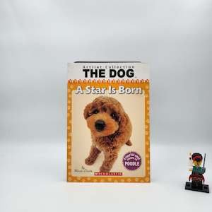 A Star Is Born - Howie Dewin