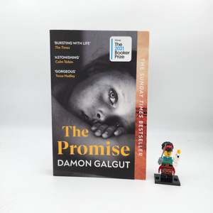 The Promise - Damon Galgut