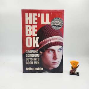 C Grade: He'll Be Ok: Growing Gorgeous Boys Into Good Men