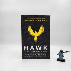A Grade: Hawk (Hawk #1)
