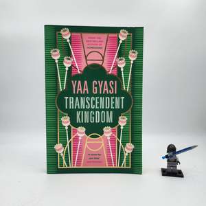 Adult: Transcendent Kingdom