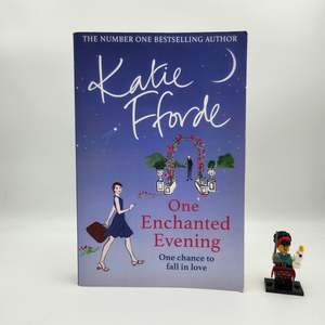 Family Saga: One Enchanted Evening