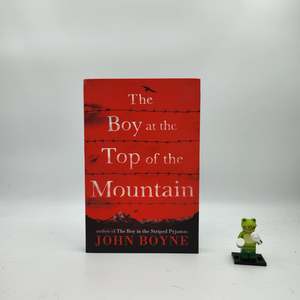 The Boy at the Top of the Mountain