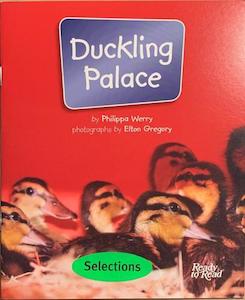Educational F: Duckling Palace - By Philippa Werry