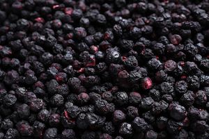 Freeze Dried Fruit: WILD Freeze Dried Whole Blueberries