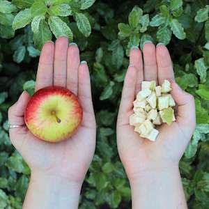 Bakery Grade - Freeze Dried Apple Cubes 16mm with green peel : Best before 12.6.25