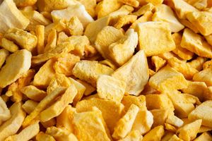 Freeze Dried Mango Slices