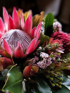 Products: Fresh Flowers Delivered to the Door Florist Havelock North - Botanic Fusion Florist Fresh Flowers Havelock North