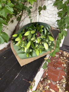 Products: Lilies Havelock North Hastings - Botanic Fusion