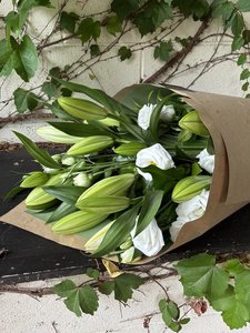 Lilies Havelock North Hastings - Botanic Fusion