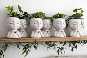 Products: Valentine’s Potted Plant Gift Havelock North - Botanic Fusion