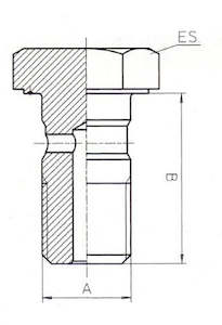 Hoses Fittings: copy of B & H Standard - Banjo bolt