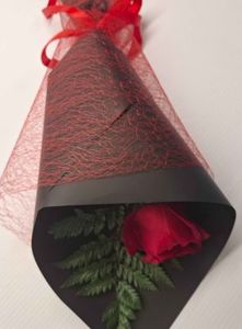 Every Day: Single Red Rose