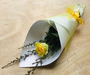 Every Day: Coloured Rose