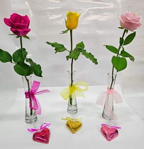 Every Day: Coloured Rose in Vase with heart chocolate