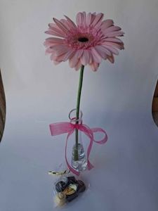 Every Day: Gerbera Surprise