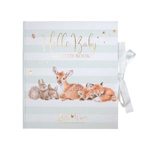 Baby 1: Baby Record Book